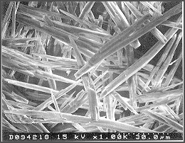 Descalcificadores magneticos